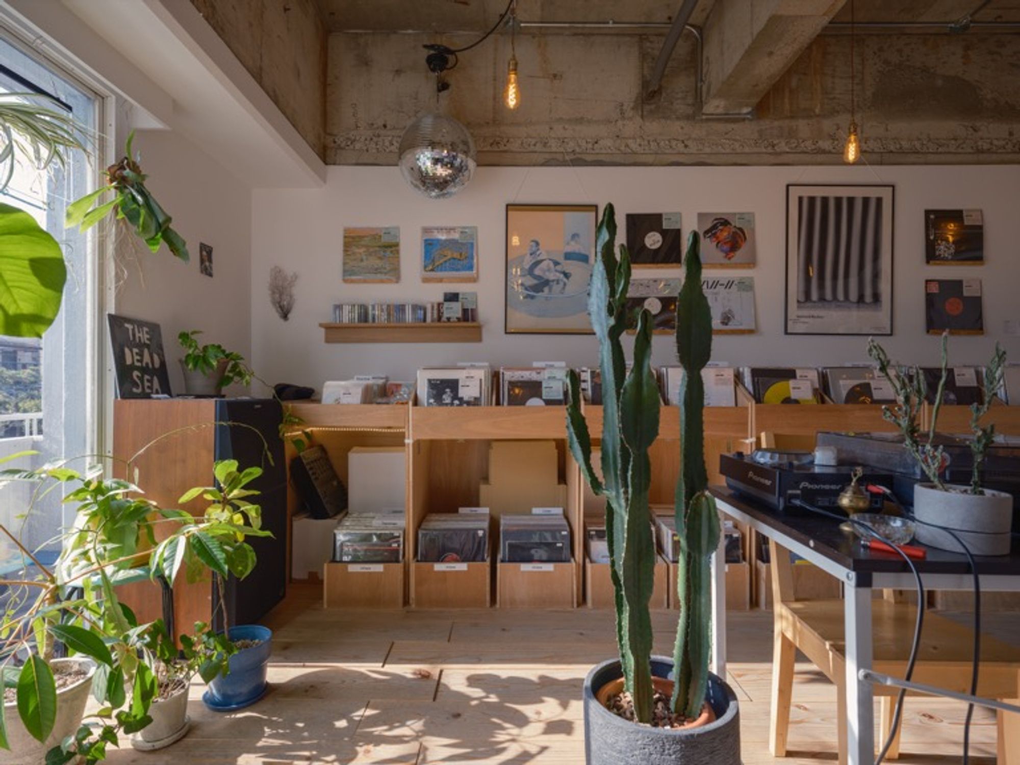 Sunlight enters the handmade interior of the shop. It was a relaxing place. Techno, House, Jazz, Japanese, you name it, they seemed to have it. This image was captured using the GFX100S camera, equipped with the GF23mmF4 R LM WR lens (wide-angle prime lens).