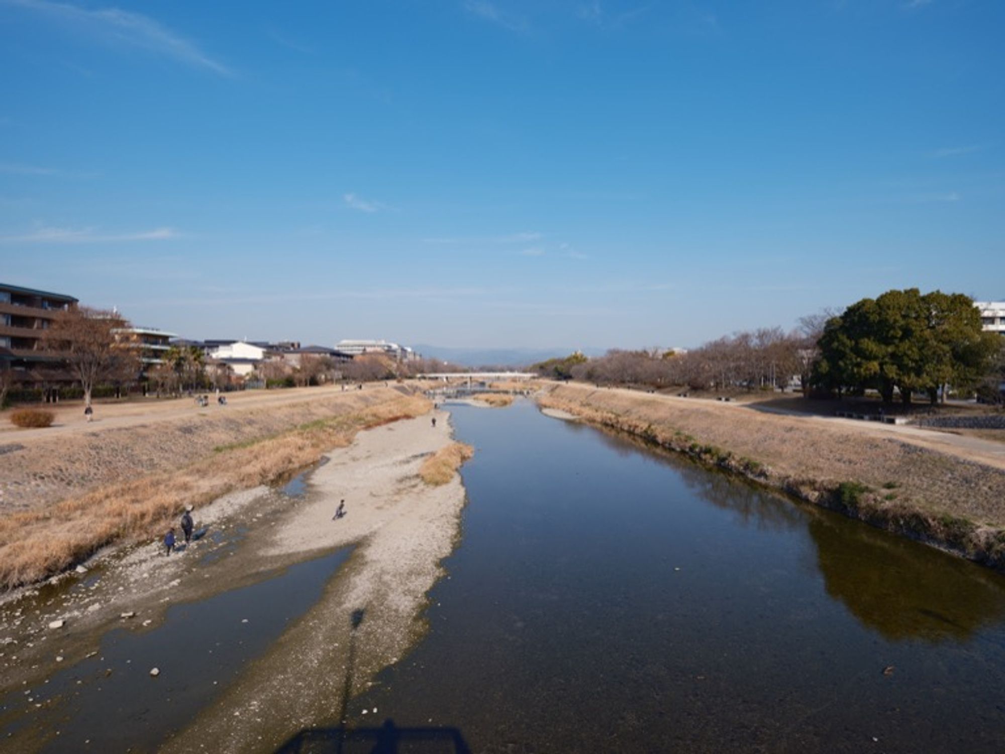 View of the Kamo River from Marutamachi Dori in Kyoto. The river is so clear that you can see the bottom of the river. This image was captured using the GFX100S camera, equipped with the GF23mmF4 R LM WR lens (wide-angle prime lens).