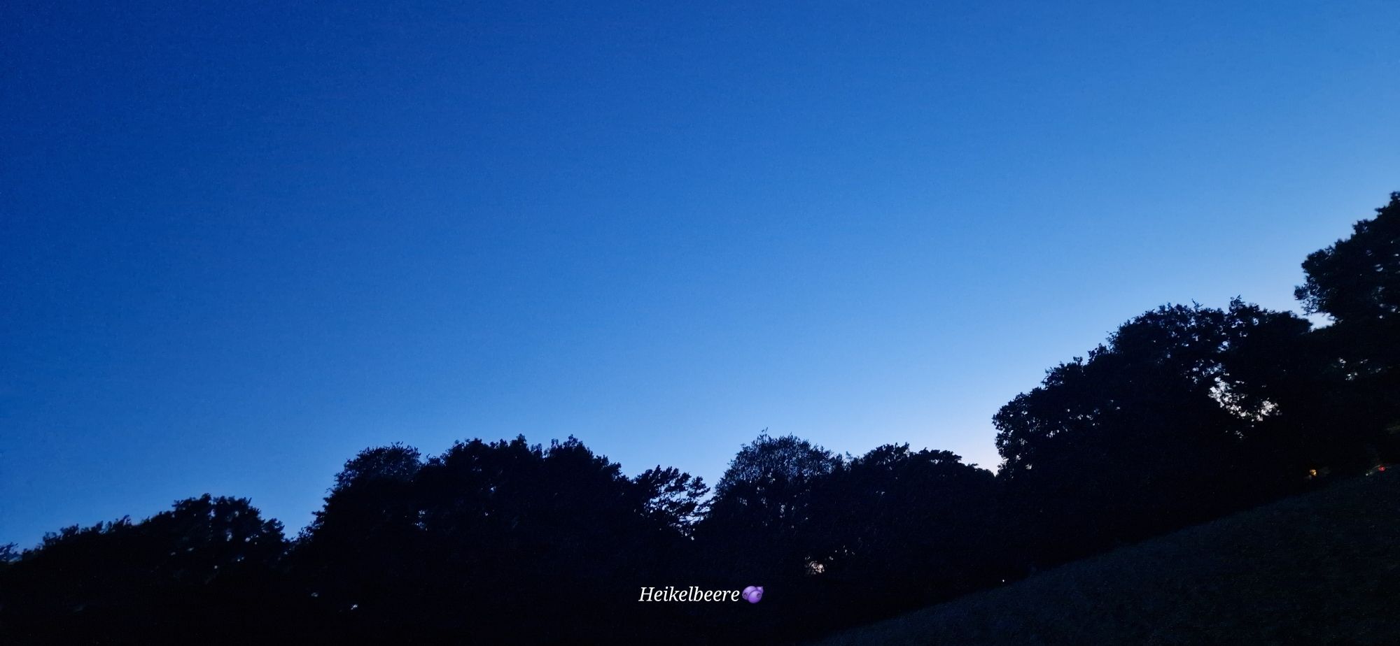 Blauer Nachthimmel , hinter den Bäumen ist nur noch das allerletzte Licht des Tages