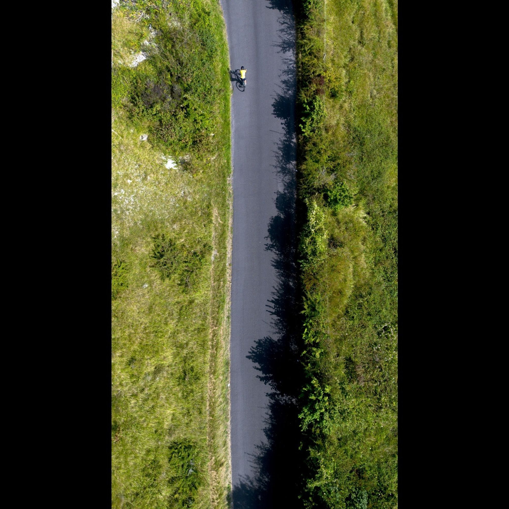 A zenithal image. Road in the middle, vegetation to the sides. A cyclist in yellow at the top, over tarmac. Sunny day