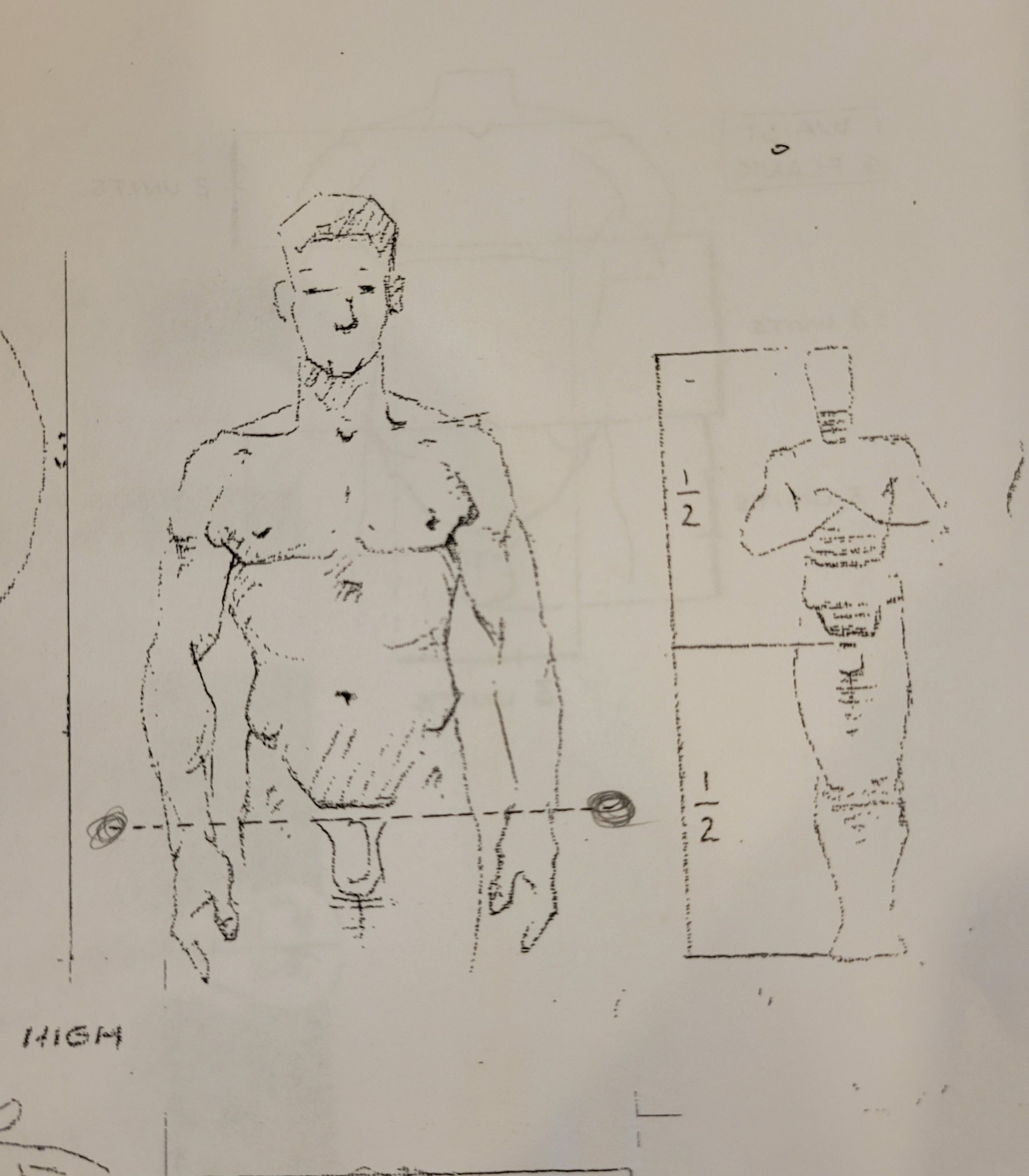 More scans with rules of thumb. This shows that the top of the groin is about level with the wrist when a person is standing. And the halfway point between head and toes is the groin.