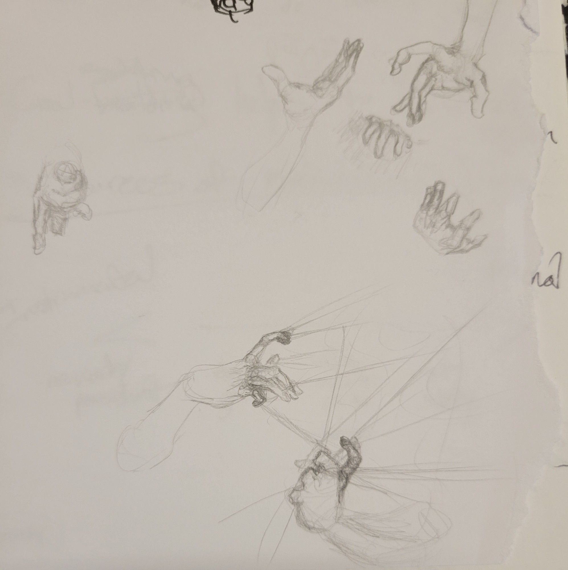 A study in pencil of hands making different gestures from different angles.