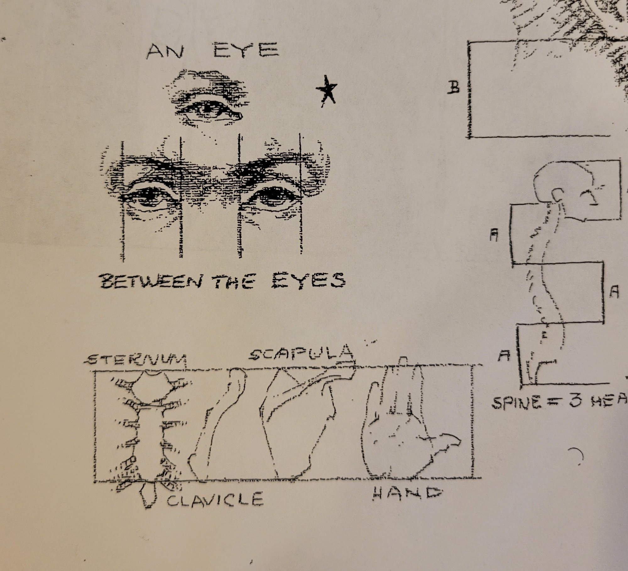 Scans from a figure drawing text showing various rules of thumb, including that there is one eye's width between the eyes, the spine is roughly 3 heads long, and that the length from the tips of the ring and middle fingers to the heel of the palm is the same as the clavicle, scapula, and first two segments of the sternum.