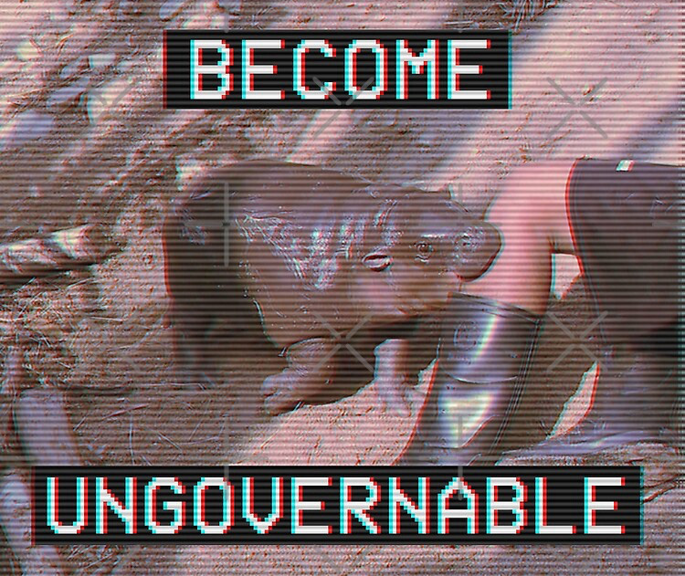 A meme I stole of the baby hippo Moo Deng cutely biting a person’s leg. The text over it says “Become Ungovernable”.