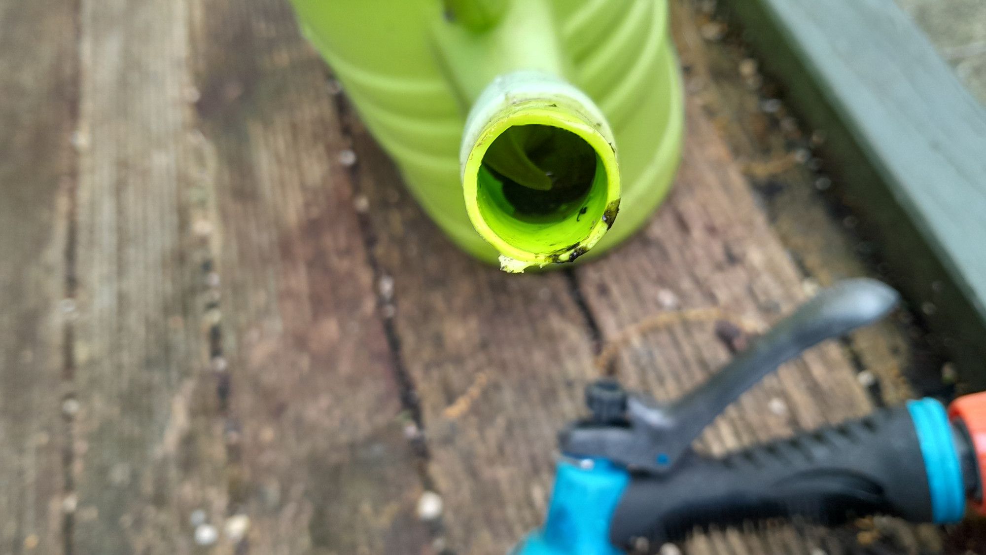 yellow-green plastic watering can with a snail in the spout.