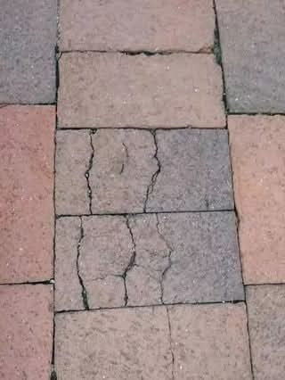 Image shows pavement cracked in the image of a shapely bottom - wording relates to a Simpsons episode in which Homer finds Ned Flanders sexy