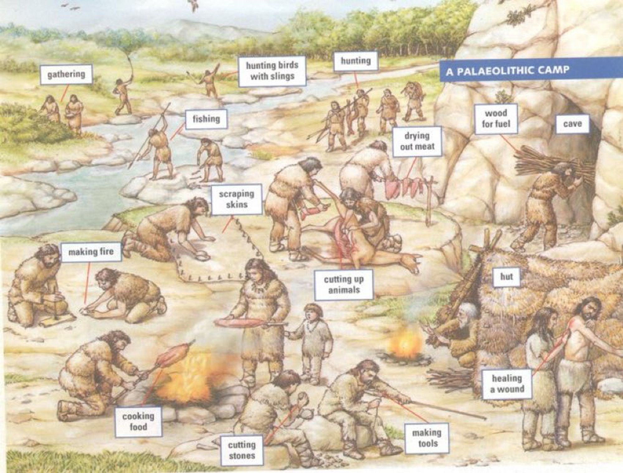 A Paleolithic camp with roles for: gathering, hunting birds with slings, hunting, fishing, making fire, scraping skins, cooking food, cutting stones, making tools, healing a wound, hut, cutting up animals, drying out meat, wood for fuel, cave