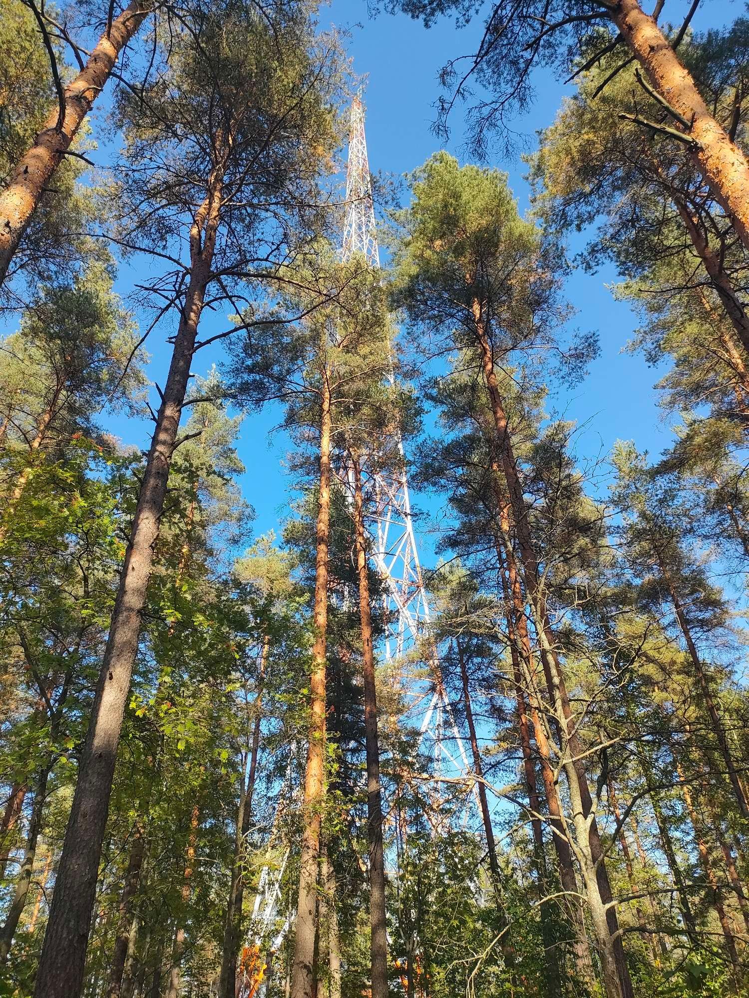 Puiden takaa pilkottaa radiomasto.