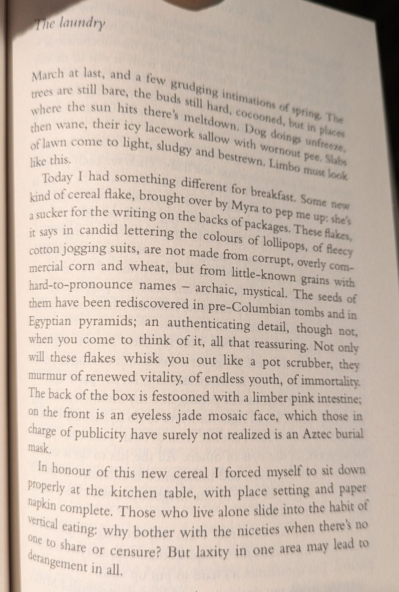 The laundry

March at last, and a few grudging intimations of spring. The trees are still bare, the buds still hard, cocooned, but in places where the sun hits there's meltdown. Dog doing unfreeze, their icy lacework of lawn come to light, sludgy and bestrewn. Limbo must look like this.

Today I had something different for breakfast. Some new kind of cereal flake, brought over by Myra to pep me up: she's a sucker for the writing on the backs of packages. These flakes, it says in candid lettering the colours of lollipops, of fleecy cotton jogging suits, are not made from corrupt, overly commercial corn and wheat, but from little-known grains with hard-to-pronounce names archaic, mystical. The seeds of them have been rediscovered in pre-Columbian tombs and in Egyptian pyramids; an authenticating detail, though not, when you come to think of it, all that reassuring. Not only will these flakes whisk you out like a pot scrubber, they murmur of renewed vitality, of endless youth, of immortality. The back of the box is festooned with a limber pink intestine; on the front is an eyeless jade mosaic face, which those in charge of publicity have surely not realized is an Aztec burial mask.

In honour of this new cereal I forced myself to sit down properly at the kitchen table, with place setting and paper napkin complete. Those who live alone slide into the habit of vertical eating: why bother with the niceties when there's no one to share of censure? But laxity in one area may lead to 