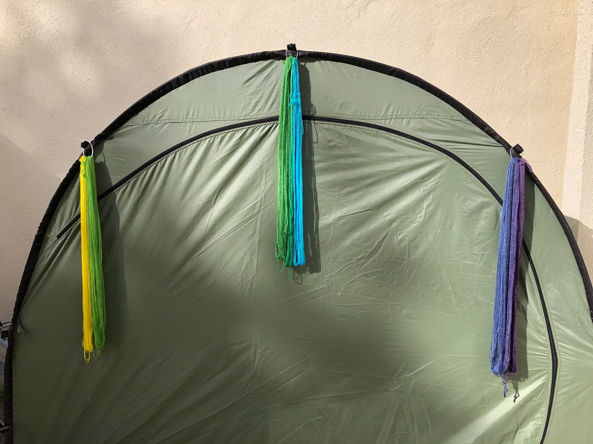 The dyed yarn separated for drying with the purples on one end and the yellow/greens on the other