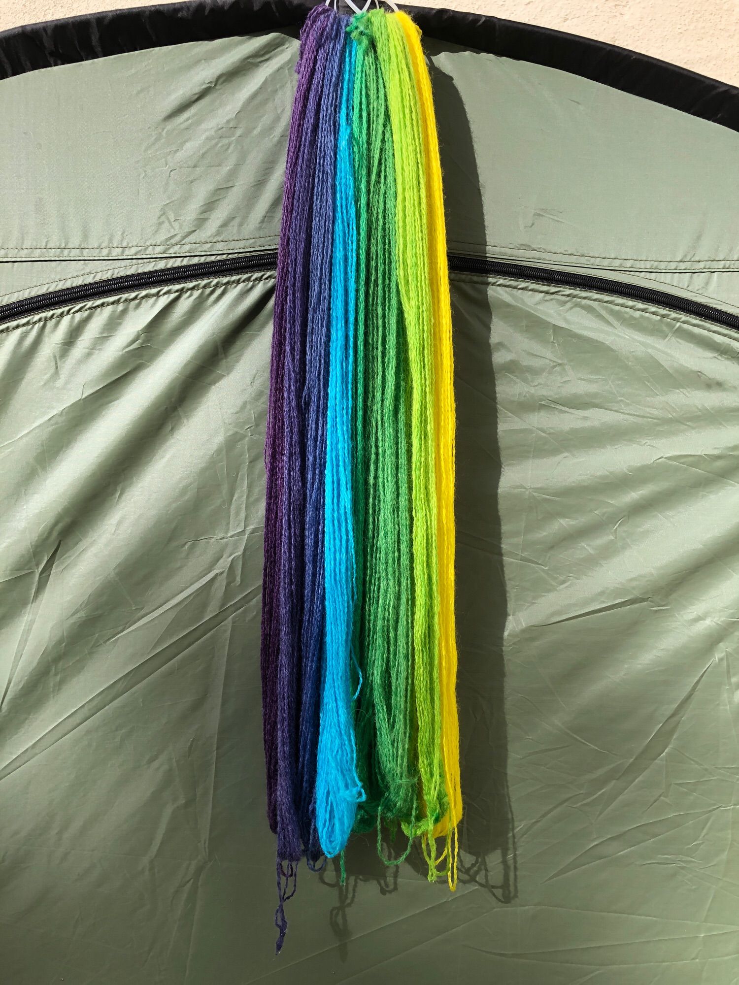 The dyed yarn in a bundle with a gradient from yellow to purple