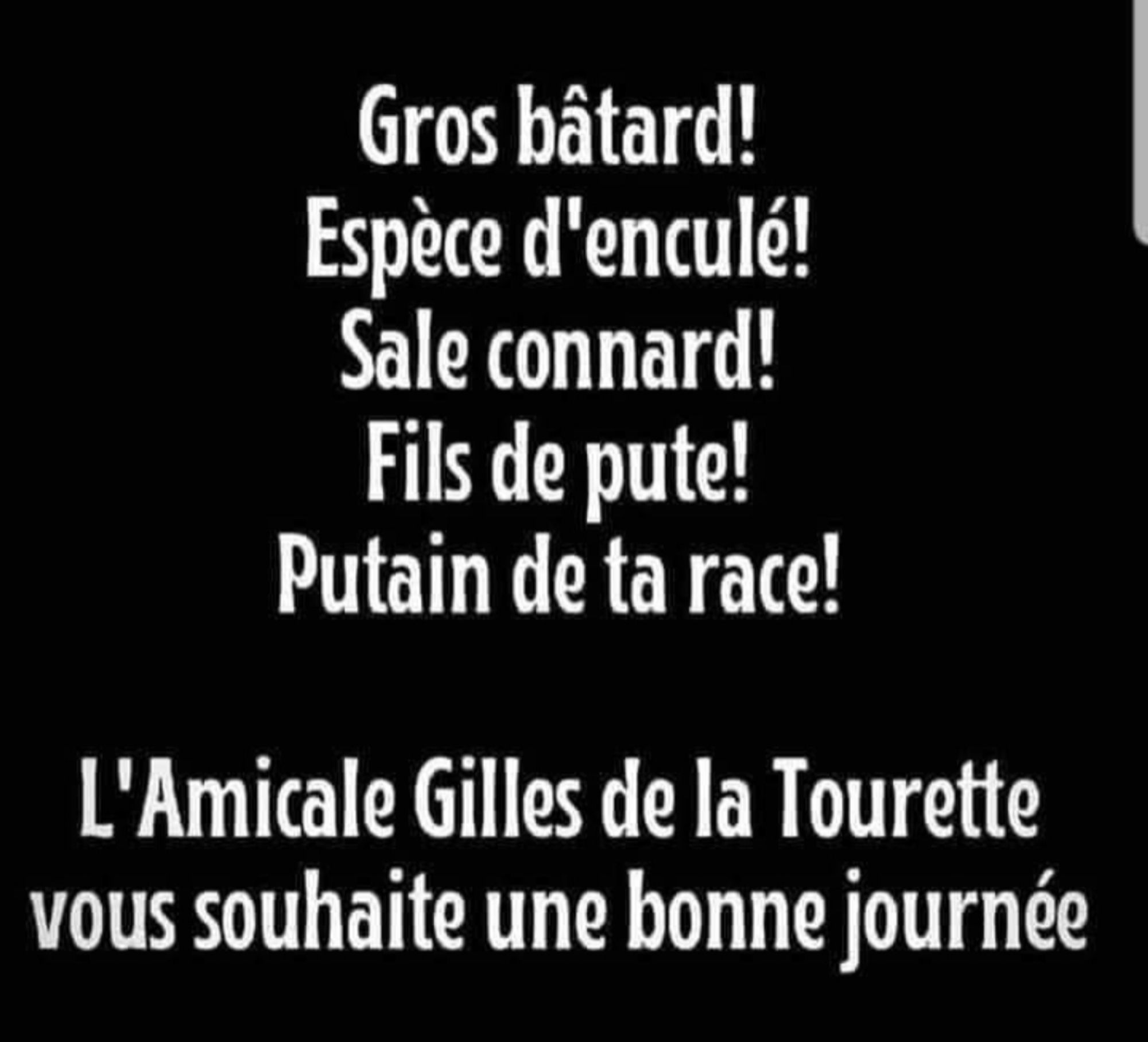 Divers insultes + l'Amicale Gilles de la Tourette vous souhaite une bonne journée