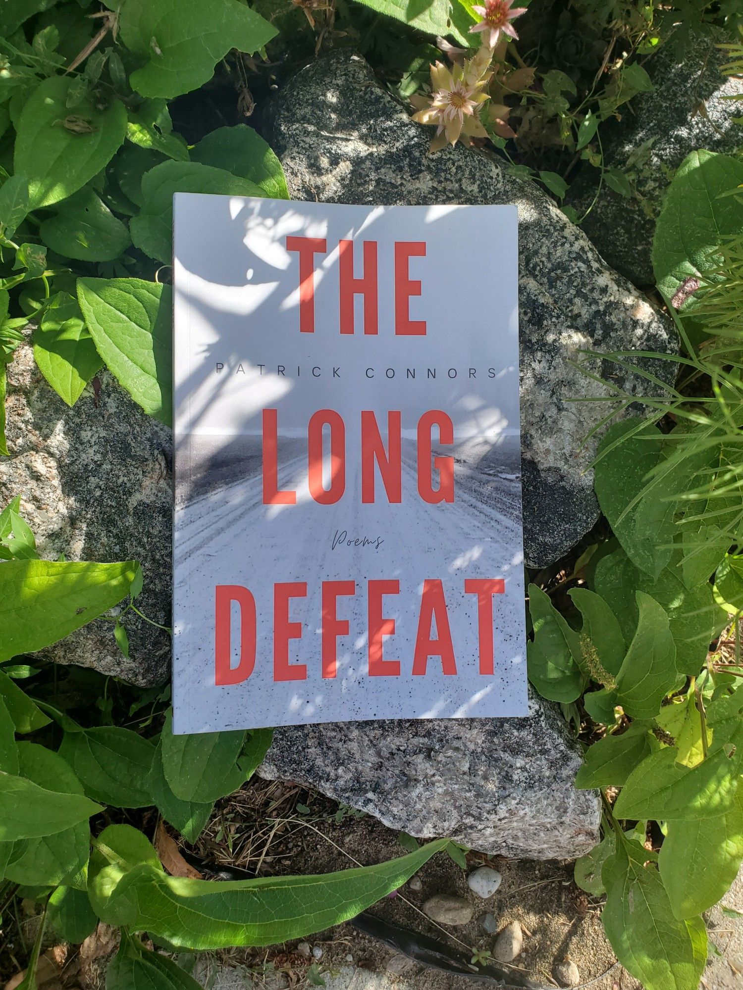 Poetry collection The Long Defeat by Patrick Connors (Mosaic Press) sits on a rock in the leafy shade amidst green plants and grass.