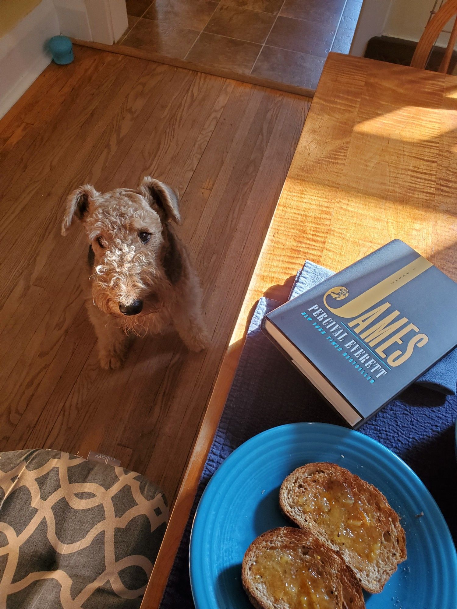 Mavis the young Airedale sits next to the dining room table, on which sits my breakfast and my Friday/weekend reading, James by Percival Everett (Doubleday)