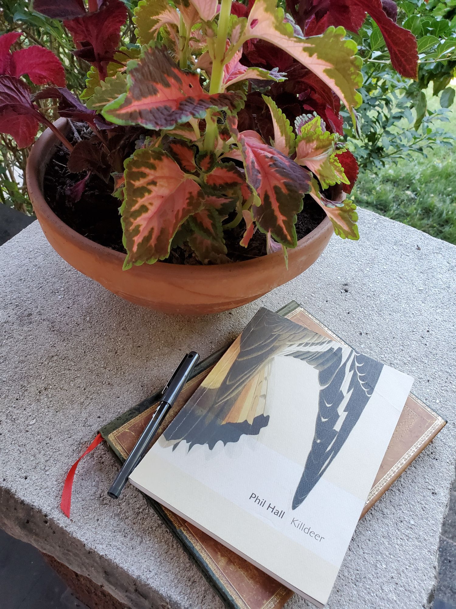 Poetry collection Killdeer by Phil Hall (Bookhug Press), with its striking cover showing a colourful bird wing, sits on a pillar with a notebook with an ornate gold cover, a black pen and a clay pot with a plant with bright, variegated leaves