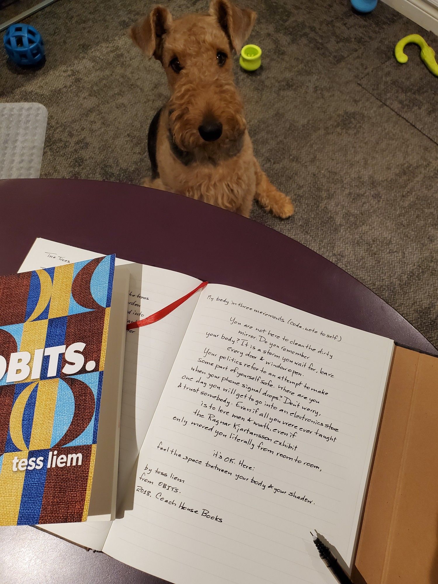 Handwritten transcription of the poem "My body in three movements (coda, note to self)" from the poetry collection OBITS. by tess liem sits on the edge of a purple desktop, with Mavis the Airedale terrier looking on from the floor.