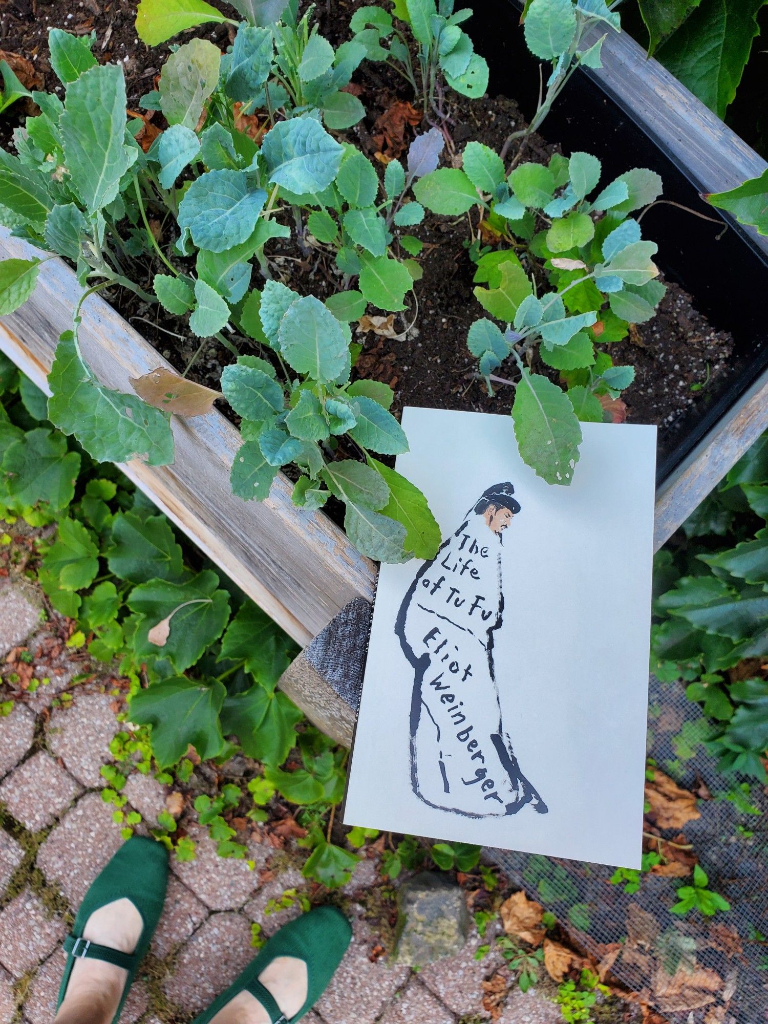 Poetry work The Life of Tu Fu by Eliot Weinberger (New Directions) sits on the edge of a wooden planter box of kale. My green shoes are also visible.