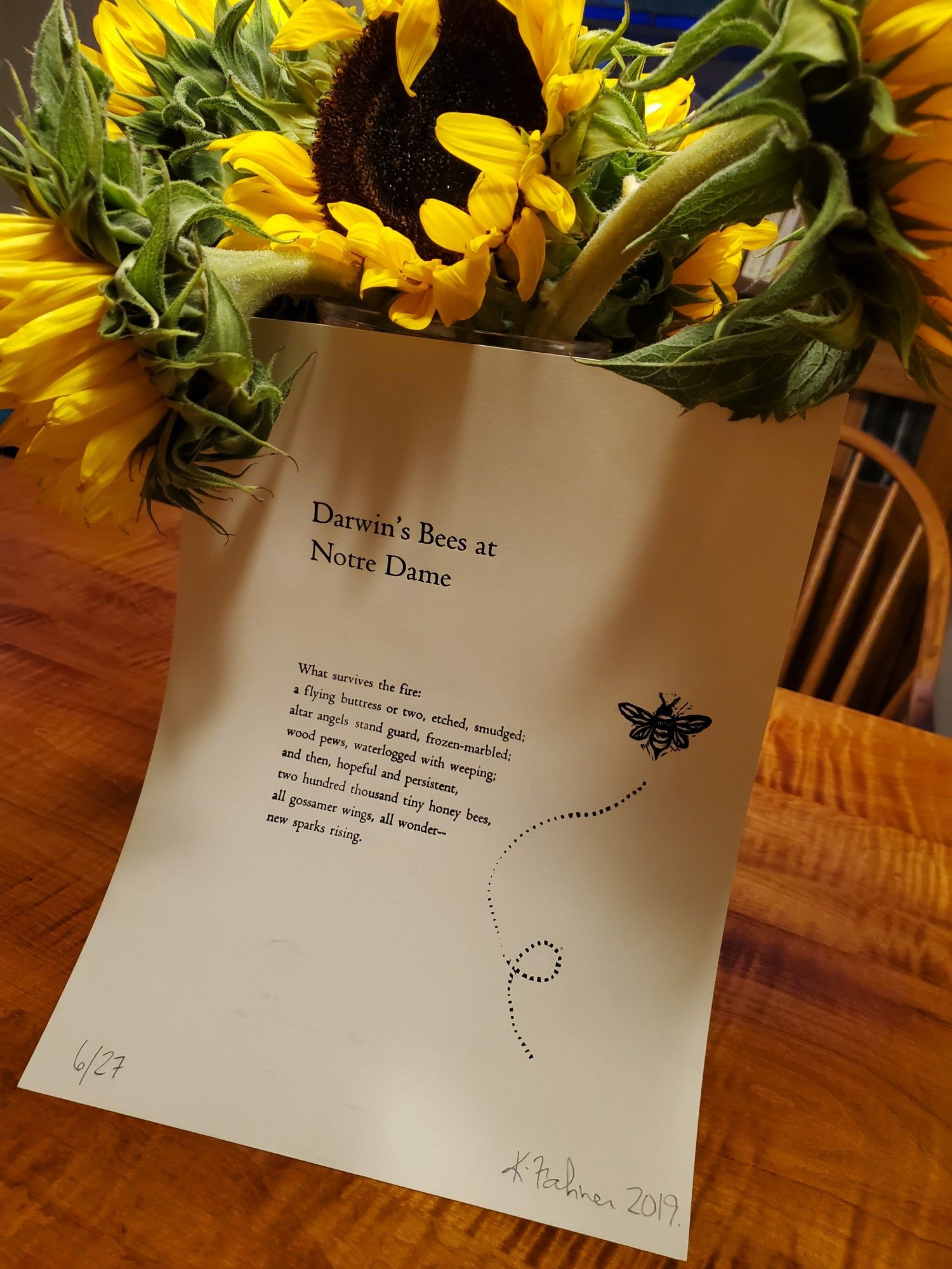 A limited edition (6/27) printing of the poem "Darwin's Bees at Notre Dame" by Kim Fahner is propped up against a vase of slightly droopy but bright sunflowers.