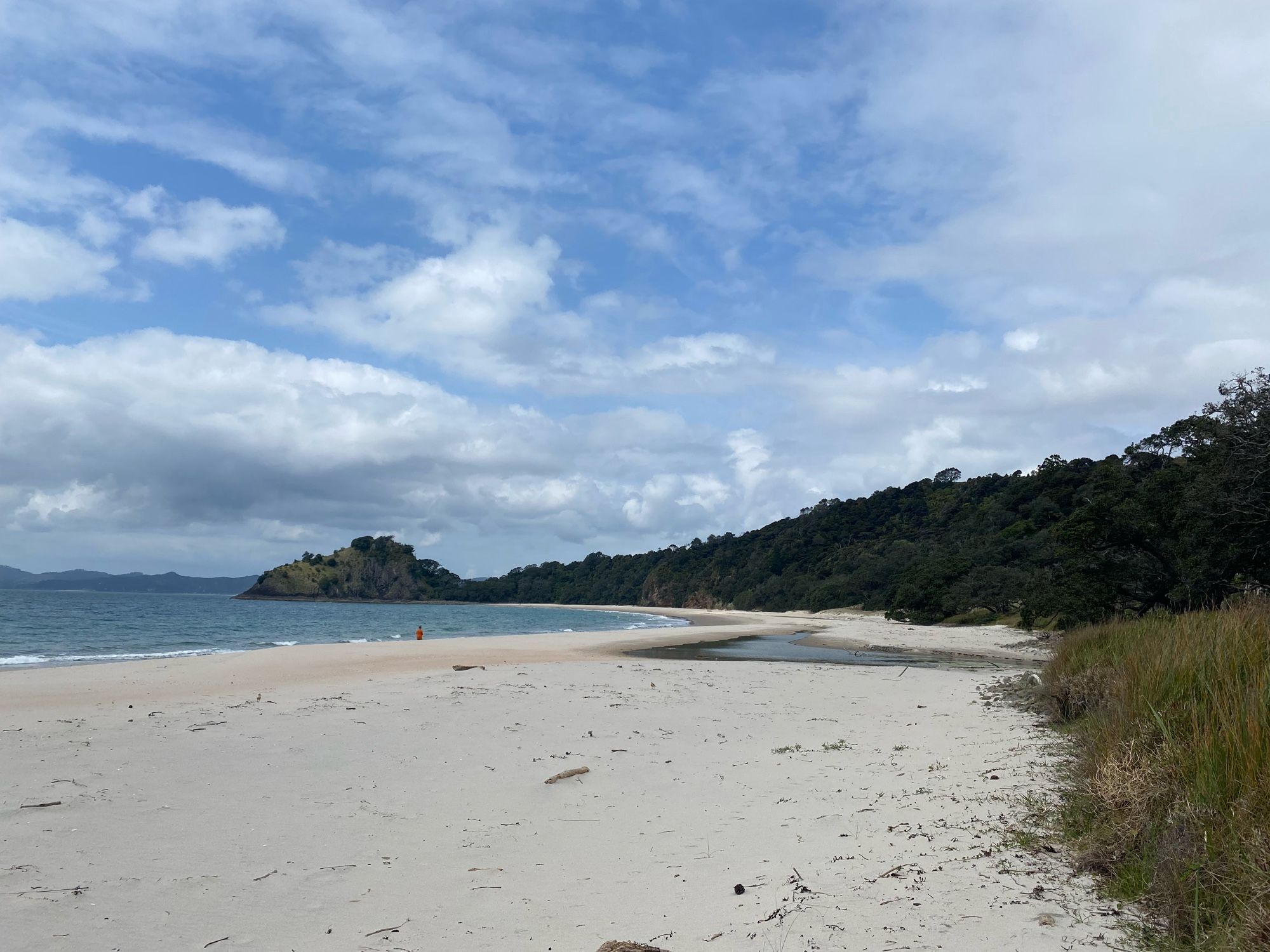 View from half way down Wainuiototo New Chum’s Beach, looking back towards the entrance