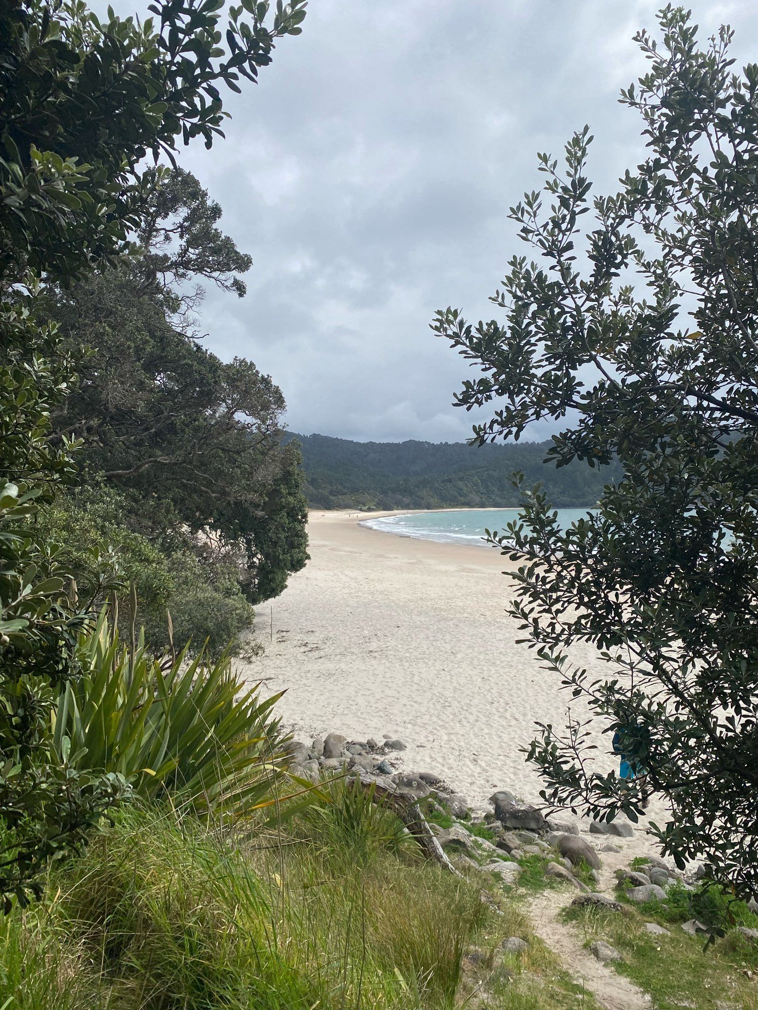 View of Wainuiototo New Chum’s Beach from the track leading to the beach