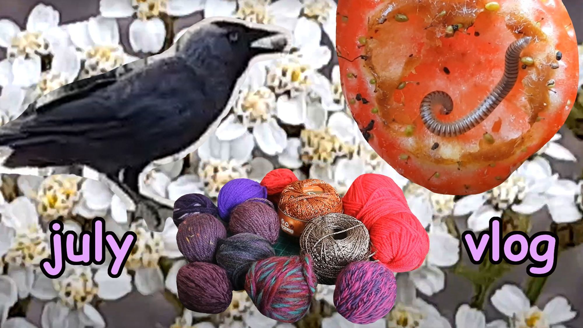 thumbnail for a vlog. the background is a blurry close up of yarrow flowers and cut out and placed over the top is a jackdaw holding a nut, a strawberry with a millipede inside and a pile of yarn. the text says "july vlog"