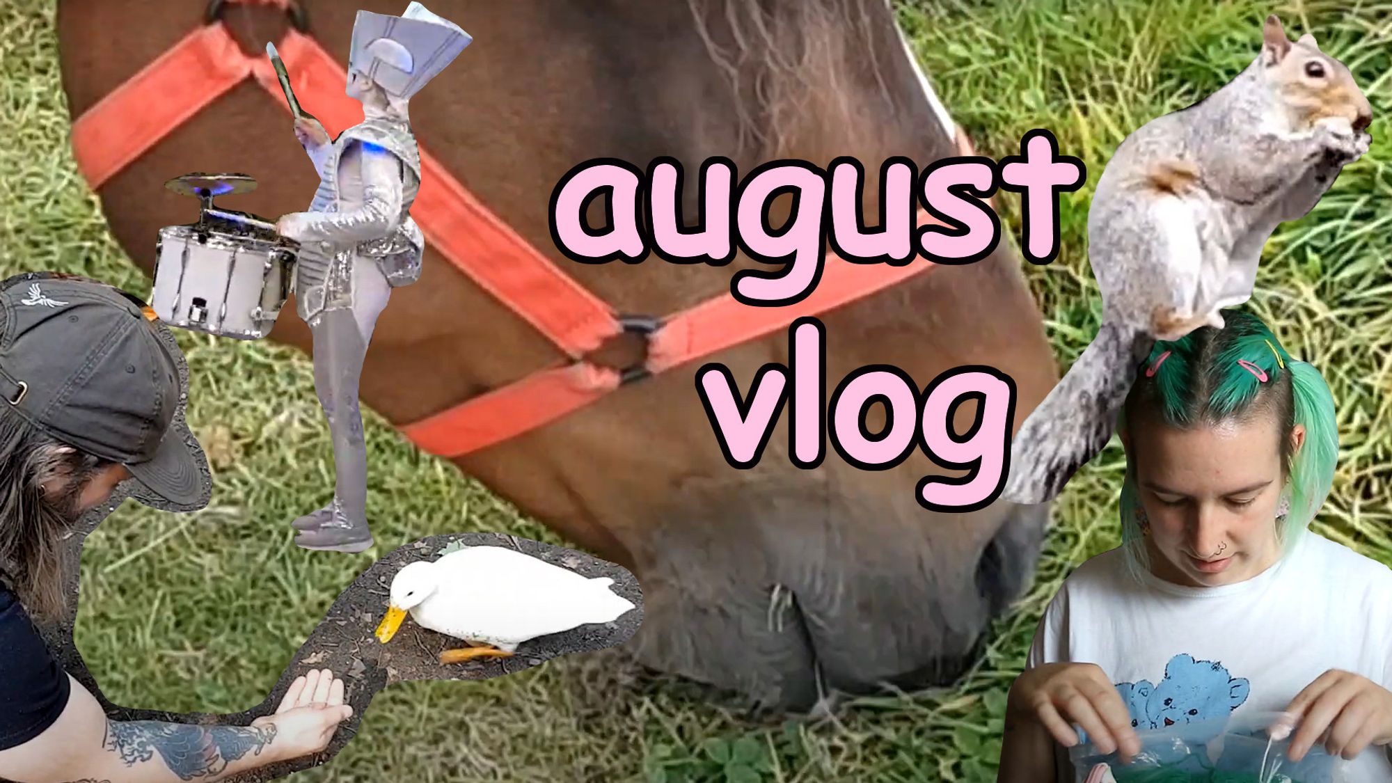 youtube thumbnail that says "august vlog" and has a close up of a horse's face eating grass and then cut out and placed over the top there's a dressed up, futuristic looking drummer, a person in a cap hand feeding a white duck, a squirrel eating a peanut and a person with green hair looking down.