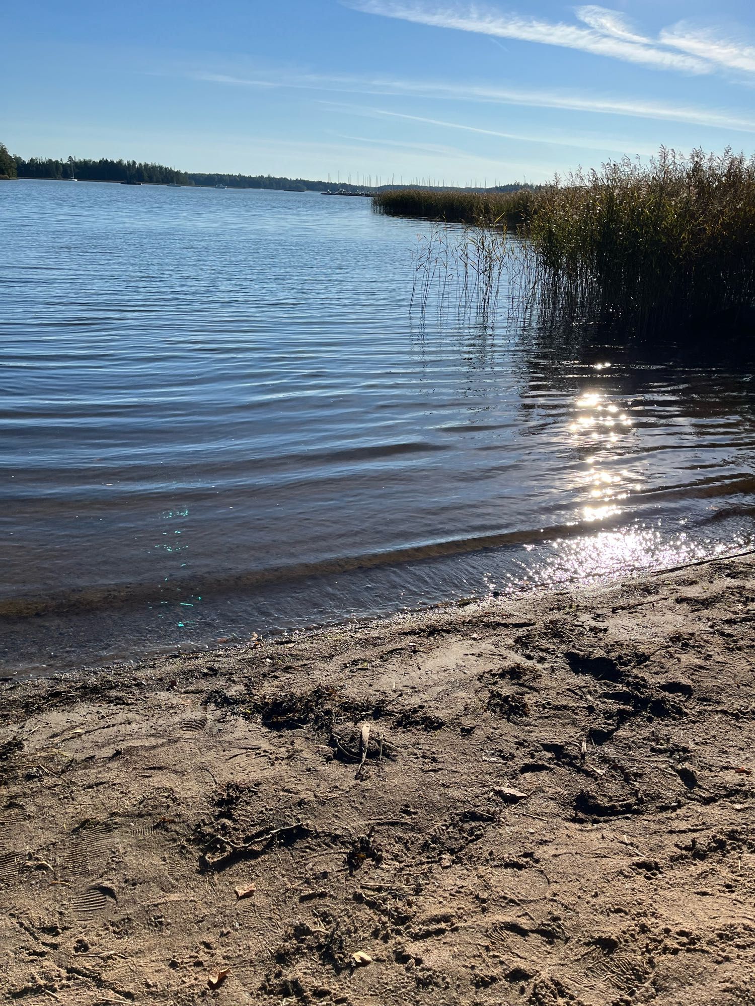 Pieni hiekkaranta ja laidalla kaislikkoa. Aurinko paistaa siniseltä taivaalta.