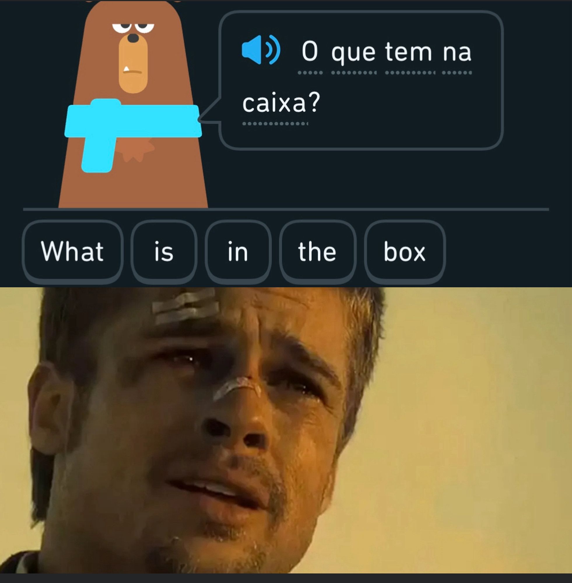 A screenshot of a translation challenge from the Duolingo Brazilian Portuguese course. A bear says “O que tem na caixa? With the translation below saying “what is in the box”.

Below, there is a screenshot of Brad Pitt in the movie Seven in a famous scene, where he asks the antagonist what is in the box the latter brought.