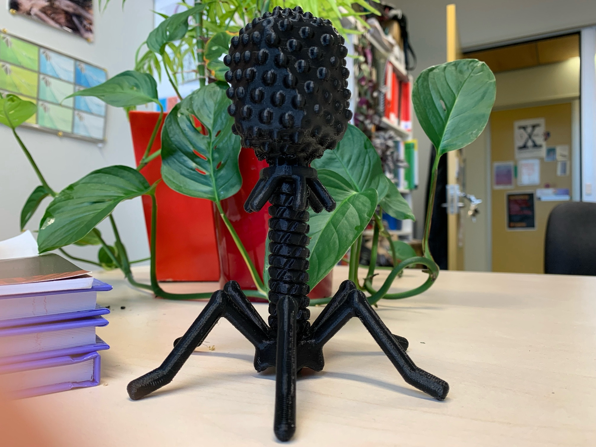 A black bacteriophage on a desk next to house plants.