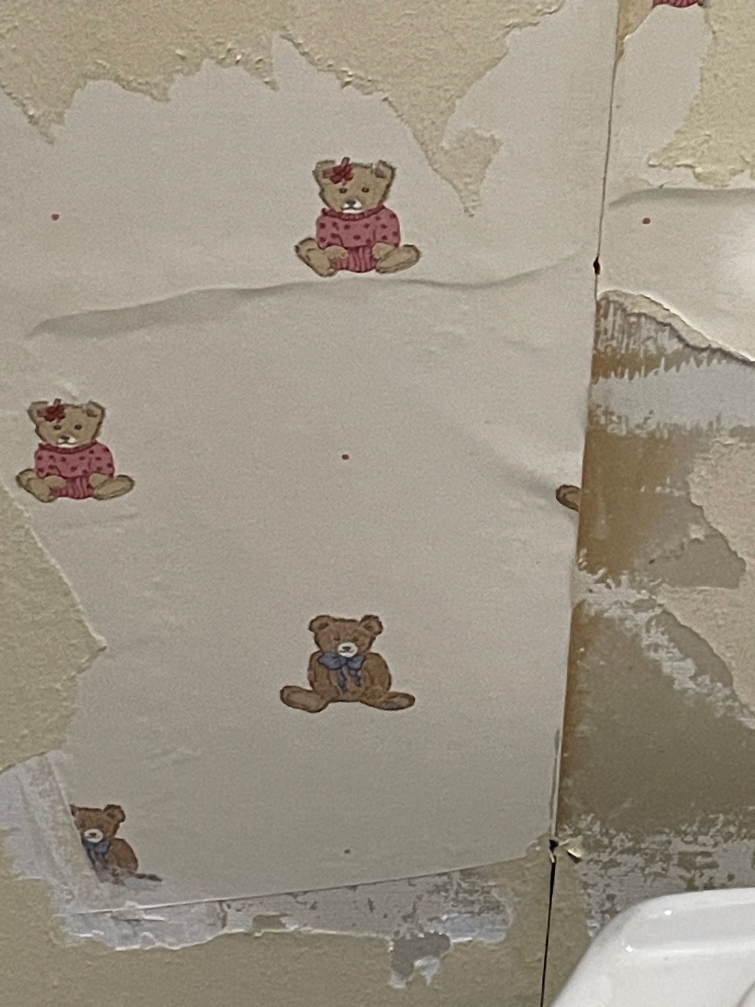 Image of a bare wall with a section of aged wallpaper. In a repeating pattern are small teddy bears, some dressed in pink with hair bows and some dresses in blue with bow ties. 

The house was built in 1980. The paper is original to the build.