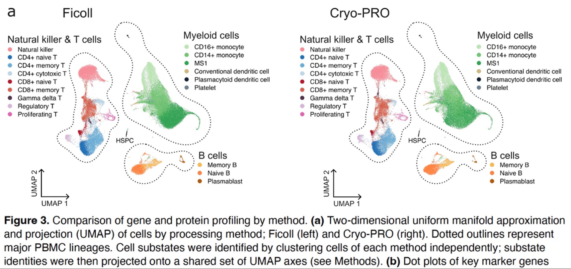 UMAPs generated from the standard Ficoll method vs the new Cryo-PRO method of on-site clinical sample prep for 32 patients with sepsis, showing similar cell type & substate distributions. Data from each method was generated & analyzed (clustered) entirely separately, then projected onto a shared set of axes for visual comparison.