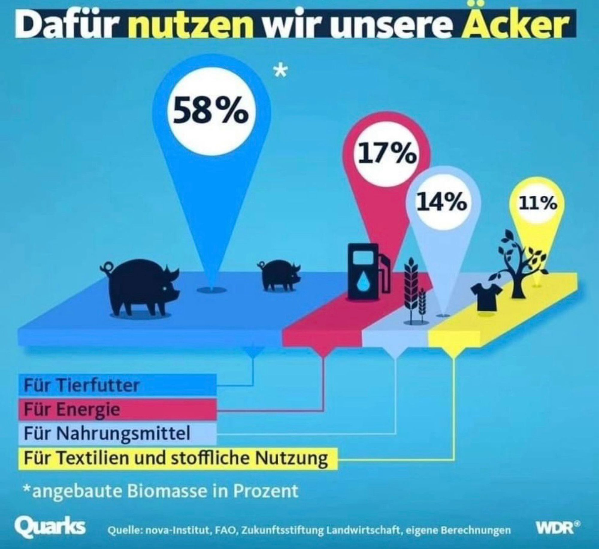 Info-Grafik "Dafür nutzen wir unsere Äcker"

58% für Tierfutter, 17% für Energie, 14% für Nahrungsmittel, 11 % für Textilien und stoffliche Nutzung

jeweils angebaute Biomasse in Prozent

Quelle: WDR Quarks