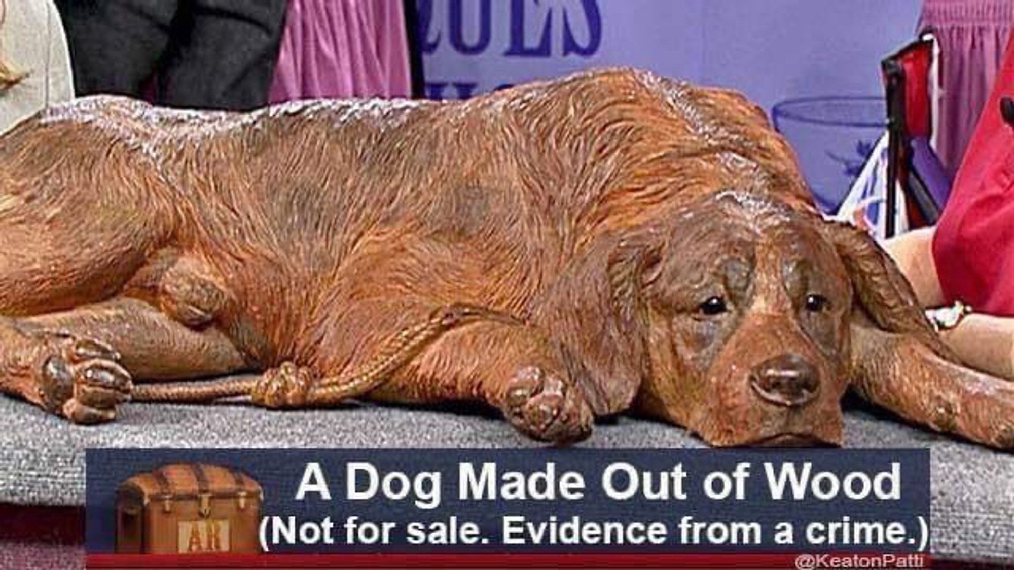 Picture of dog statue with caption “Not for sale. Evidence of a crime.”