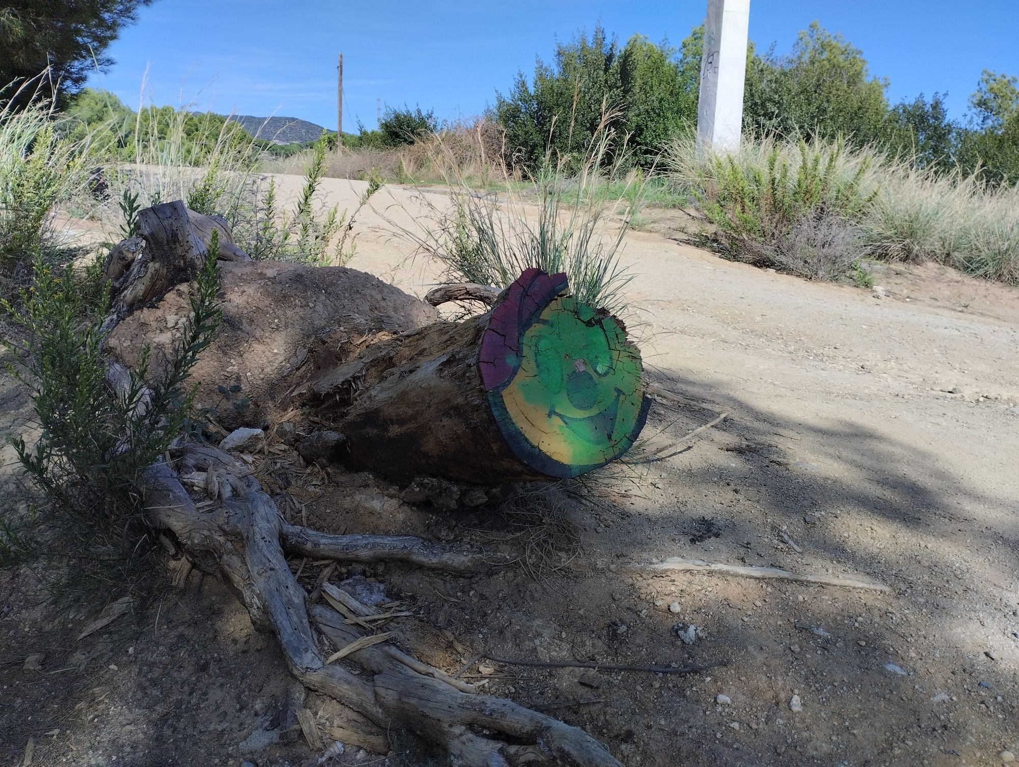 Foto en un camí on es ve un tron pintat com un cagatio y té una capa de verde.