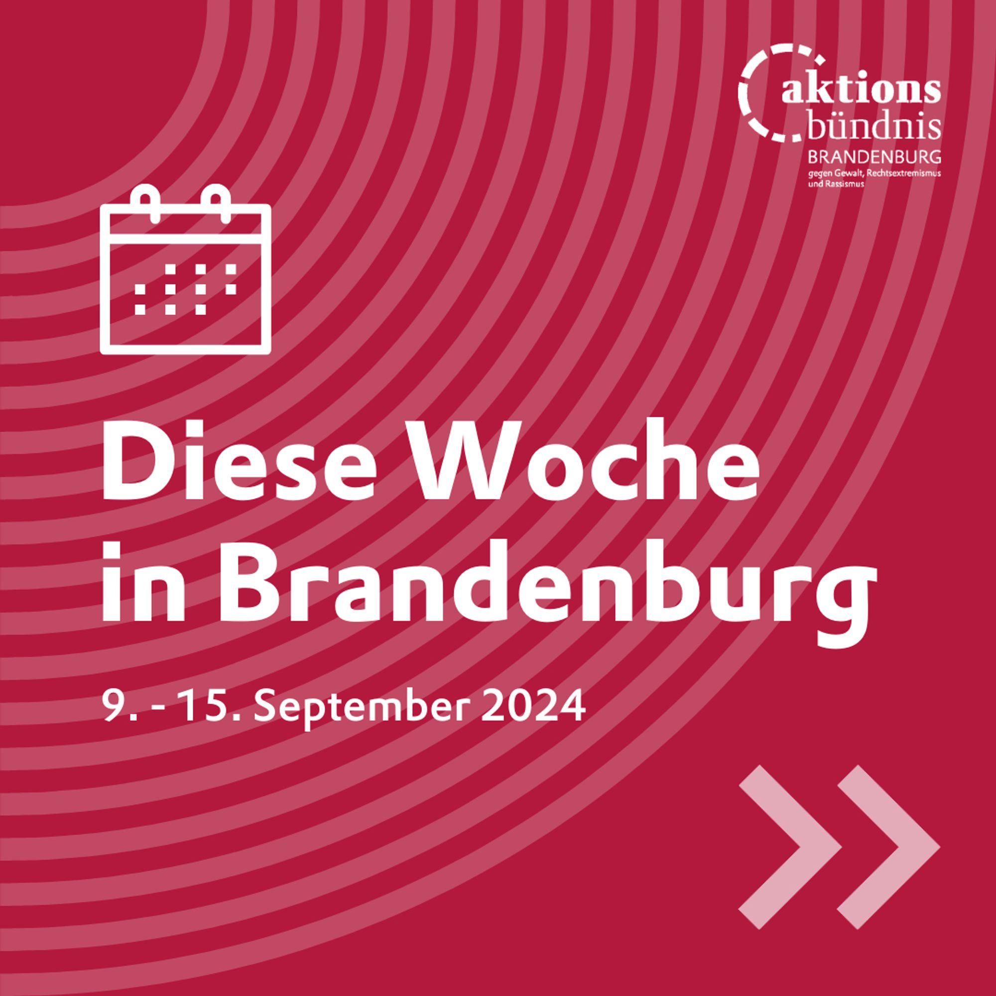 Diese Woche 
in Brandenburg

9. - 15. September 2024