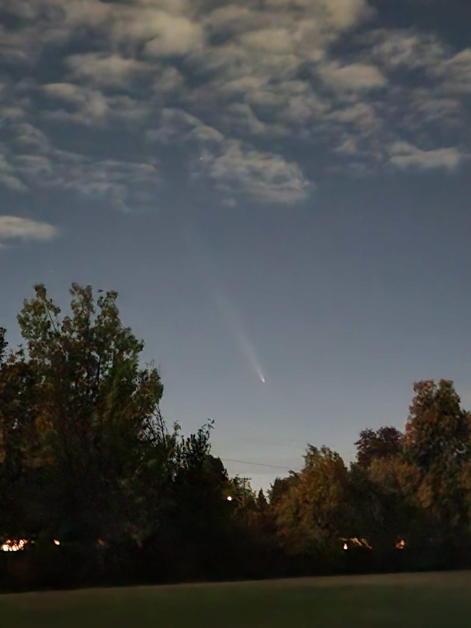 A comet with a long tail streaks across the sky above trees at the edge of a park.