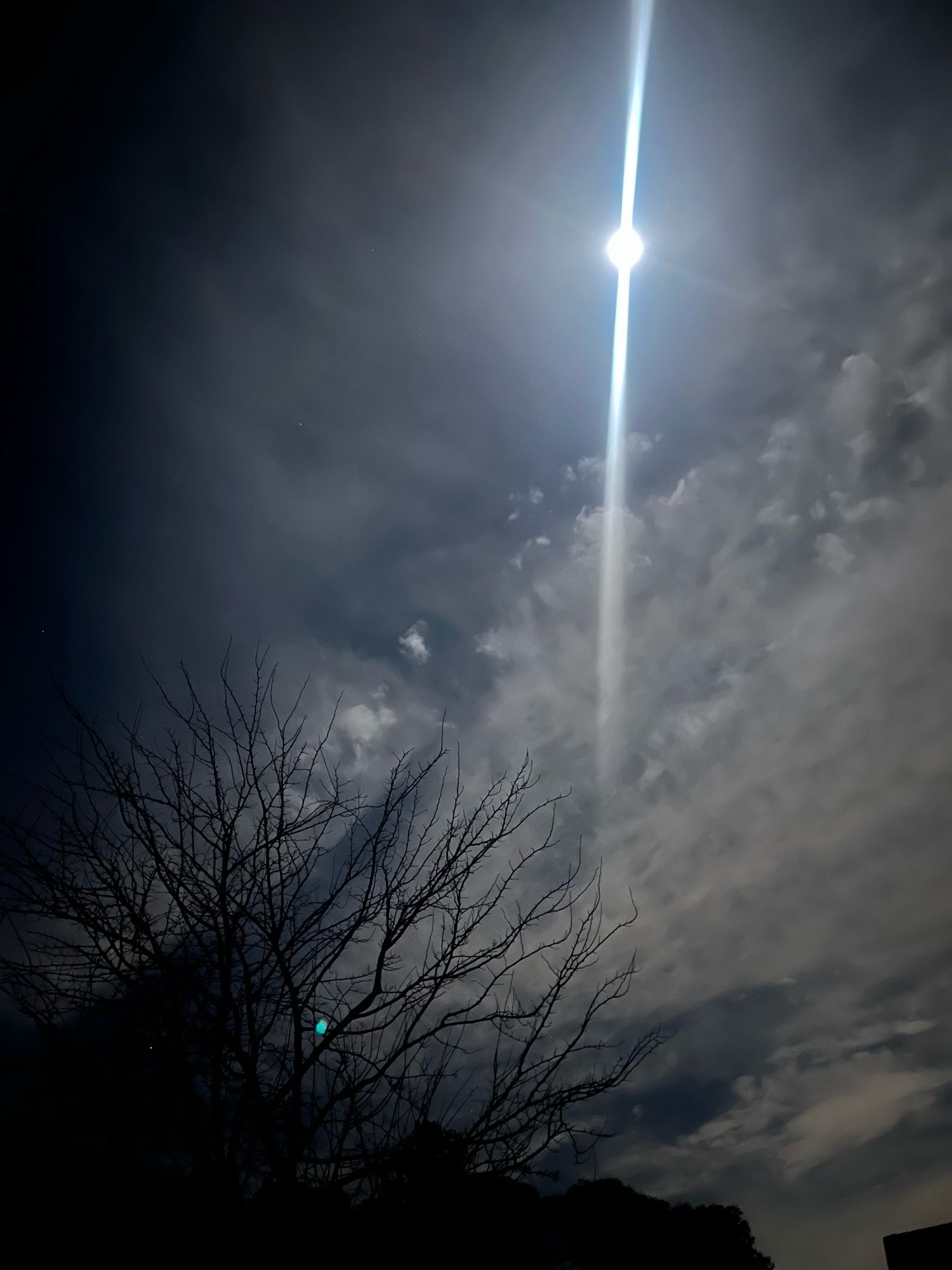 Full moon through the clouds with bare tree branches.