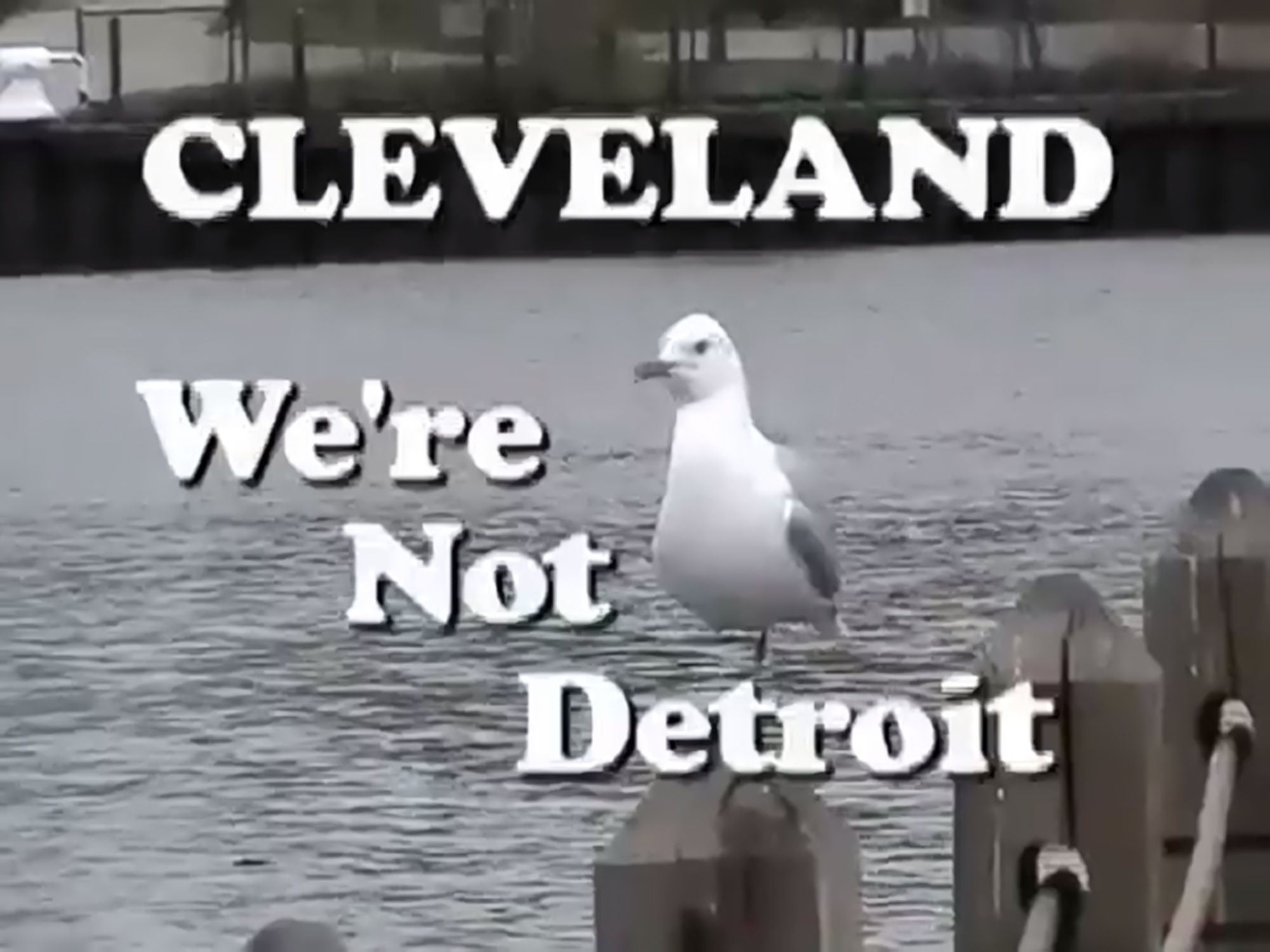 Picture of a seagull on a pier on the shores of Lake Erie, with affirmation “Cleveland: we’re not Detroit!”