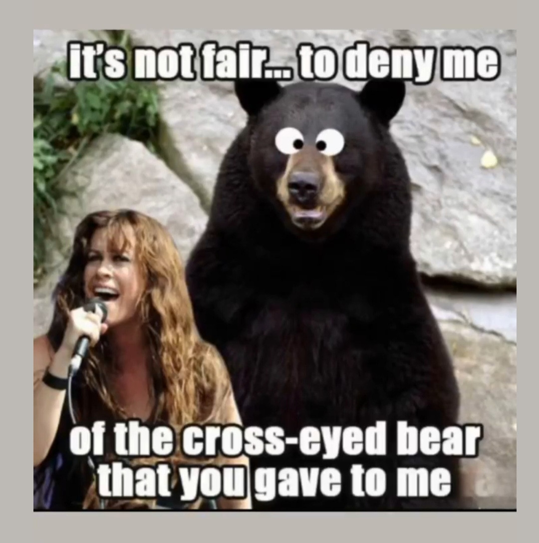 Image of singer Alanis Morissette singing into a microphone with her typical intensity while, just behind her there is a wall of rock with some greenery, and a bigass bear with googly eyes...and they're cross-eyed. Bear's kind of smiling.

Caption says, "It's not fair...to deny me...of the cross-eyed bear that you gave to me."

Which, of course, is a bastardization (and possible improvement) of the lyrics to the "You Oughta Know" song where Alanis typically sings, "It's not fair to deny me of the cross I bear that you gave to me."

Personally, given the choice between a cross to bear or a cross-eyed bear, I'd probably have to go with the googly-eyed one. Yeah, he's gonna be more expensive to maintain, but I also know I'd laugh my ass off every time I looked at his dumb eyes.

I mean, why should Alanis be the only one to have fun with a cross-eyed bear? 

Though, I question whether she...in possession of said bear...would still be able to go down on you in a theatre. Awkward.