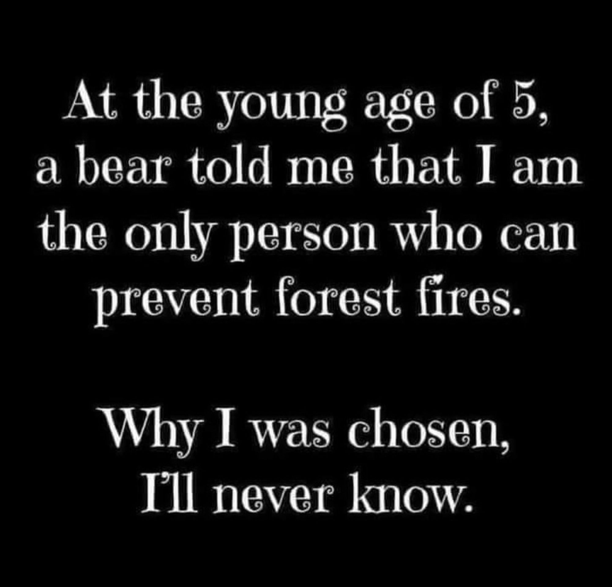 Text says,

At the young age of 5, a bear told me that I am the only person who can prevent forest fires.

Why I was chosen, I'll never know.