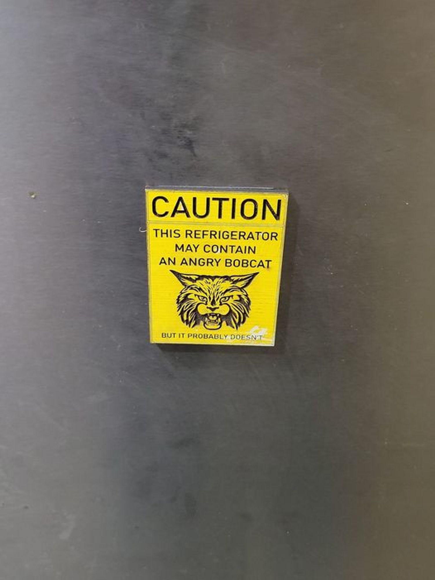 Refrigerator magnet that reads "CAUTION: This refrigerator may contain an angry bobcat...but it probably doesn't." Yellow background with black text and line drawing of a bobcat head