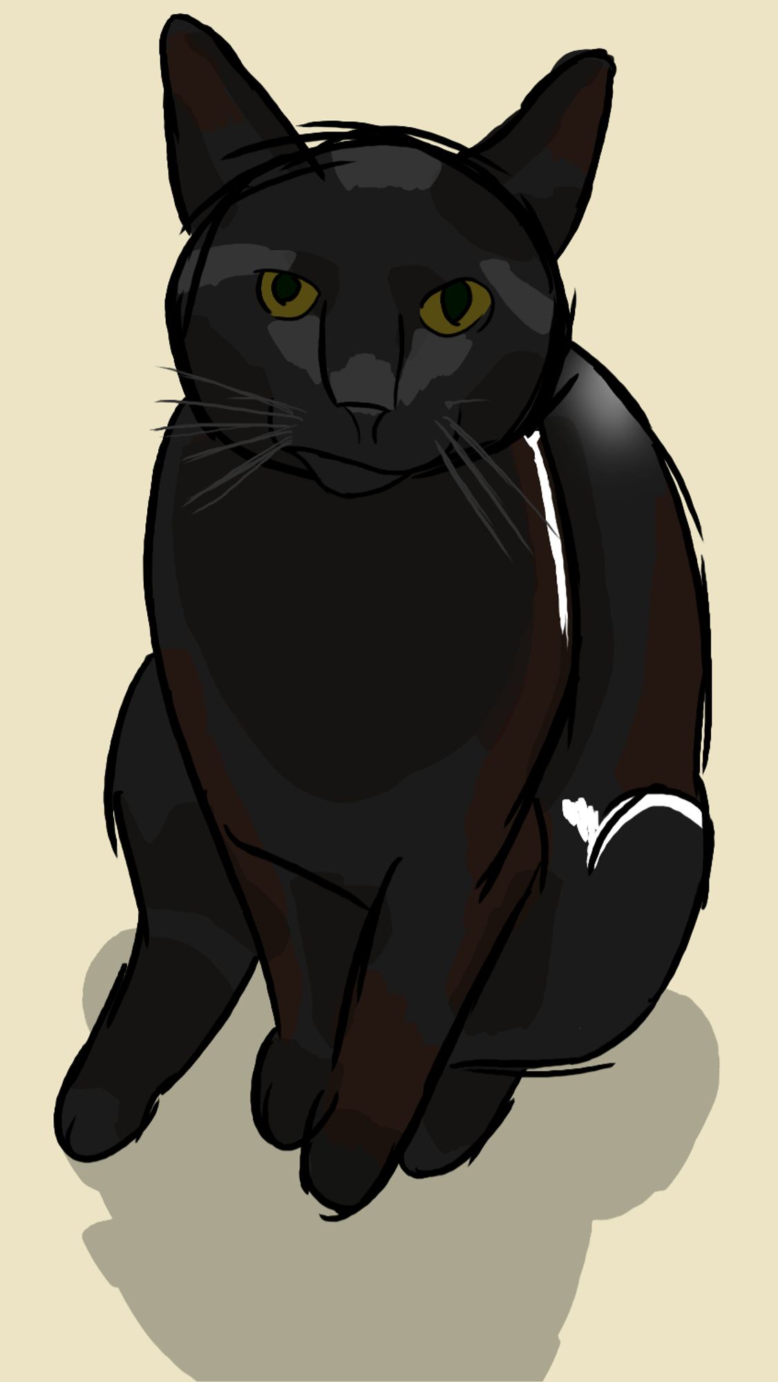 A Poorly drawn black cat, standing looking at the you