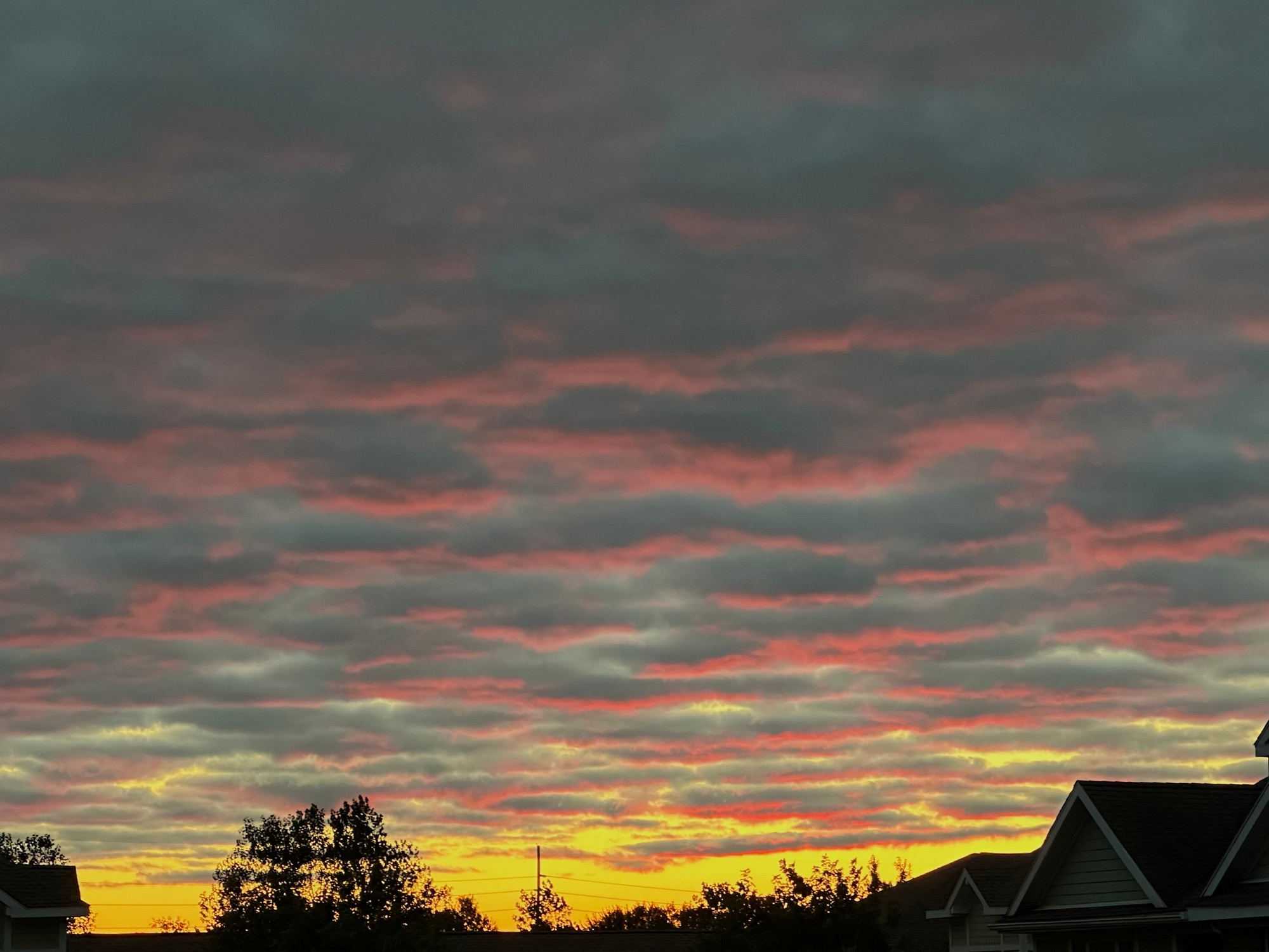 Pink stripes of cloud over gray fill the sky, the horizon a bright but fading yellow