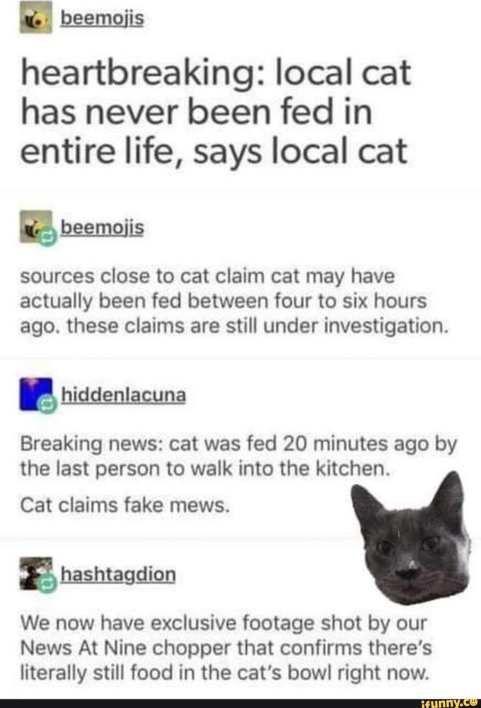 beemojis
heartbreaking: local cat
has never been fed in
entire life, says local cat
beemojis
sources close to cat claim cat may have
actually been fed between four to six hours
ago, these claims are still under investigation.
hiddenlacuna
Breaking news: cat was fed 20 minutes ago by
the last person to walk into the kitchen.
Cat claims fake mews.
hashtagdion
We now have exclusive footage shot by our
News At Nine chopper that confirms there's
literally still food in the cat's bowl right now.
