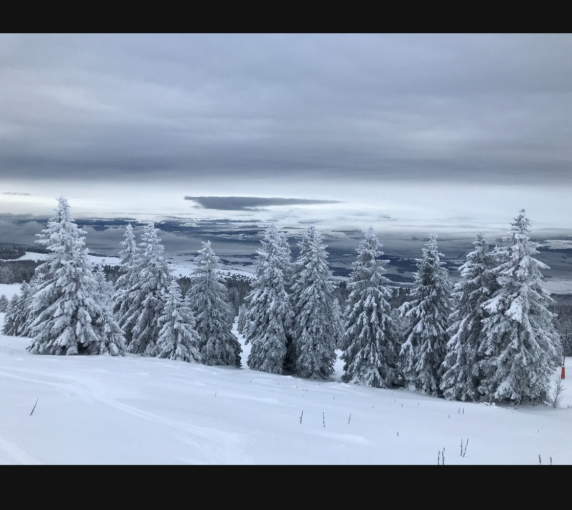 Paysage d’hiver, sapins recouvert de neige et un ciel tout gris.