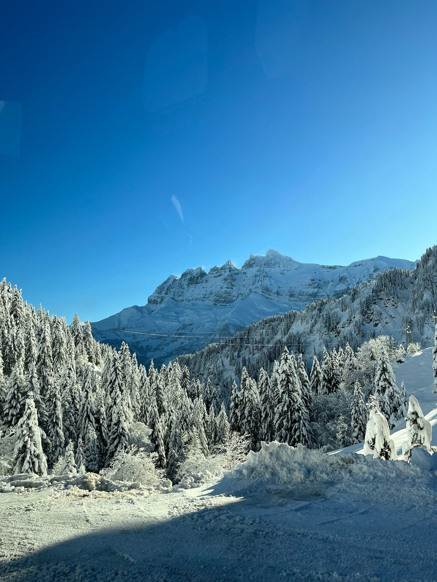 Paysage d’hiver. Forêt de sapins eneigés et Dents du Midi