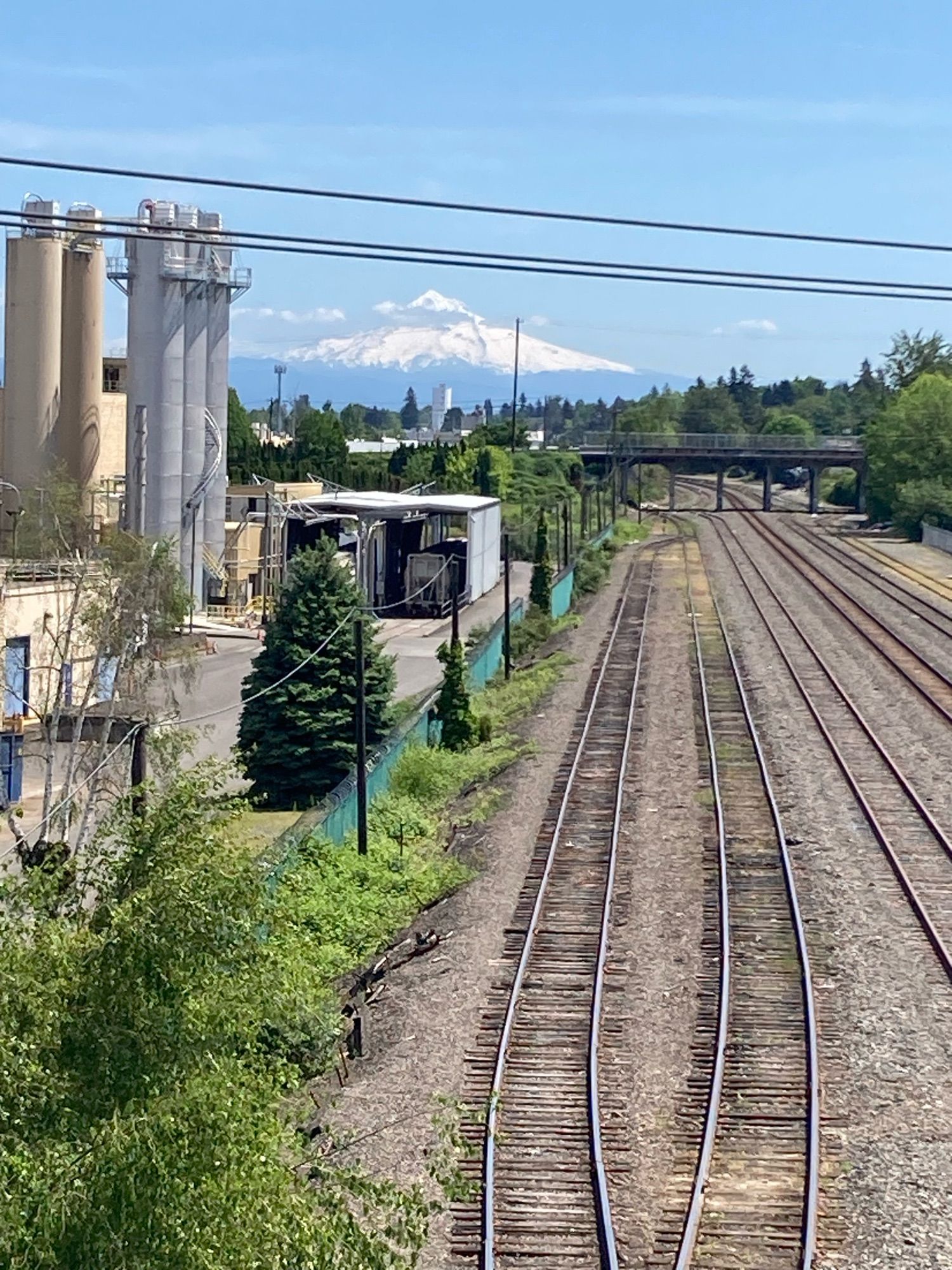 Mt hood train tracks photo