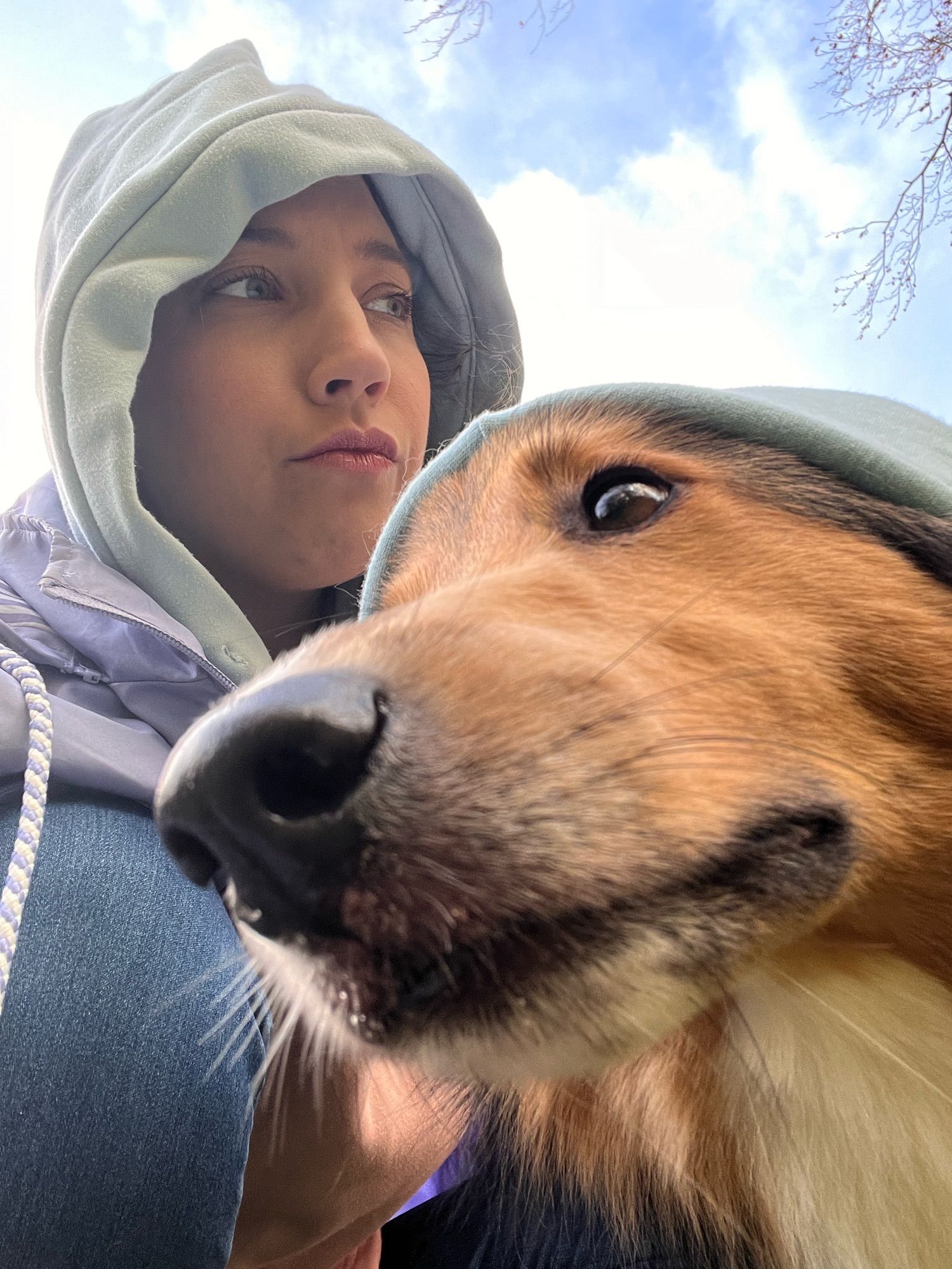 Sheltie Dame Lilly und ich hocken cool in Pose mit Hoodiemütze auf