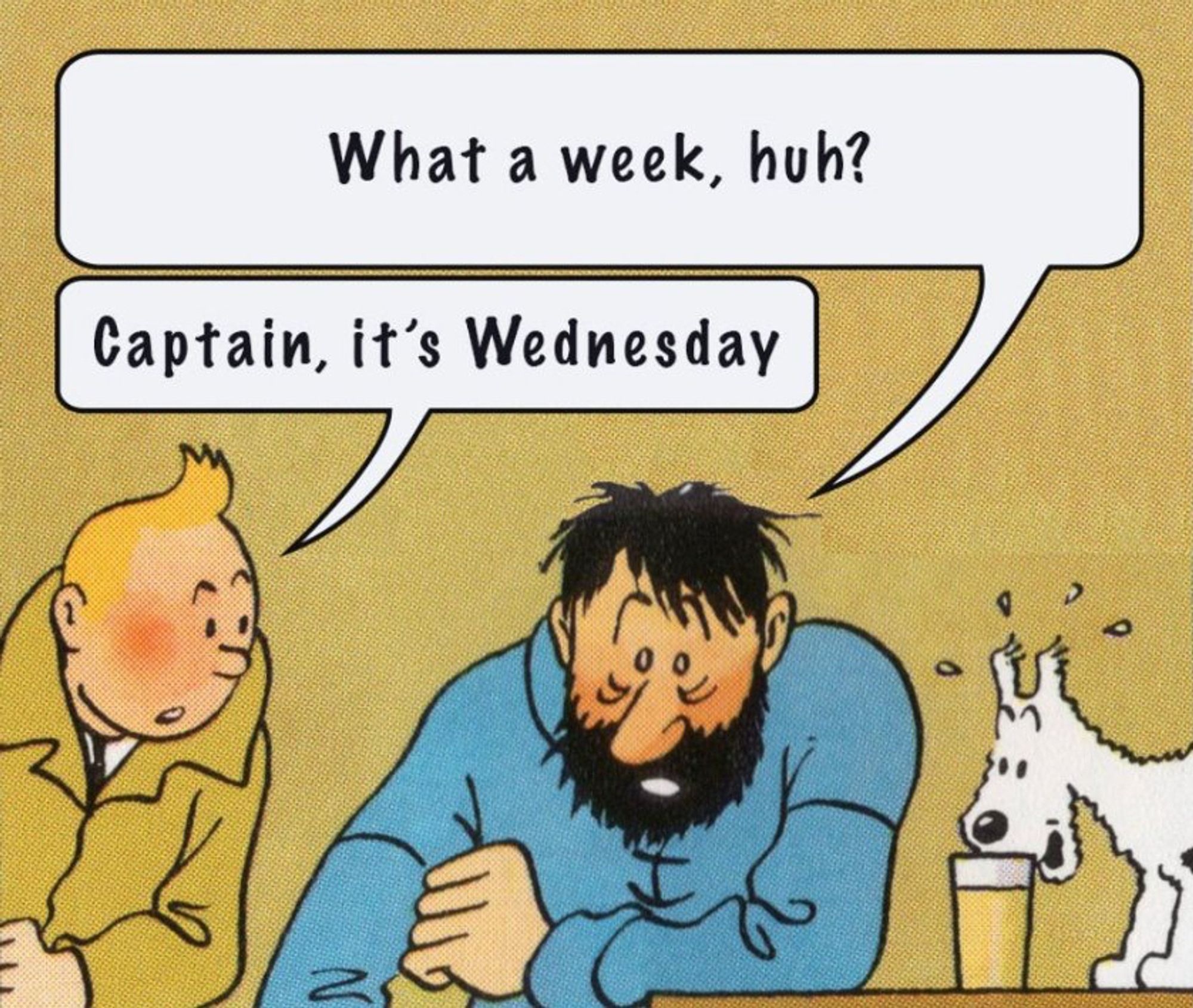 Captain Haddock looking very frazzled, saying, “What a week, huh?” 
Tintin leans into the frame and says, “Captain, it’s Wednesday.”
Snowy is very excited about the beer he has found.