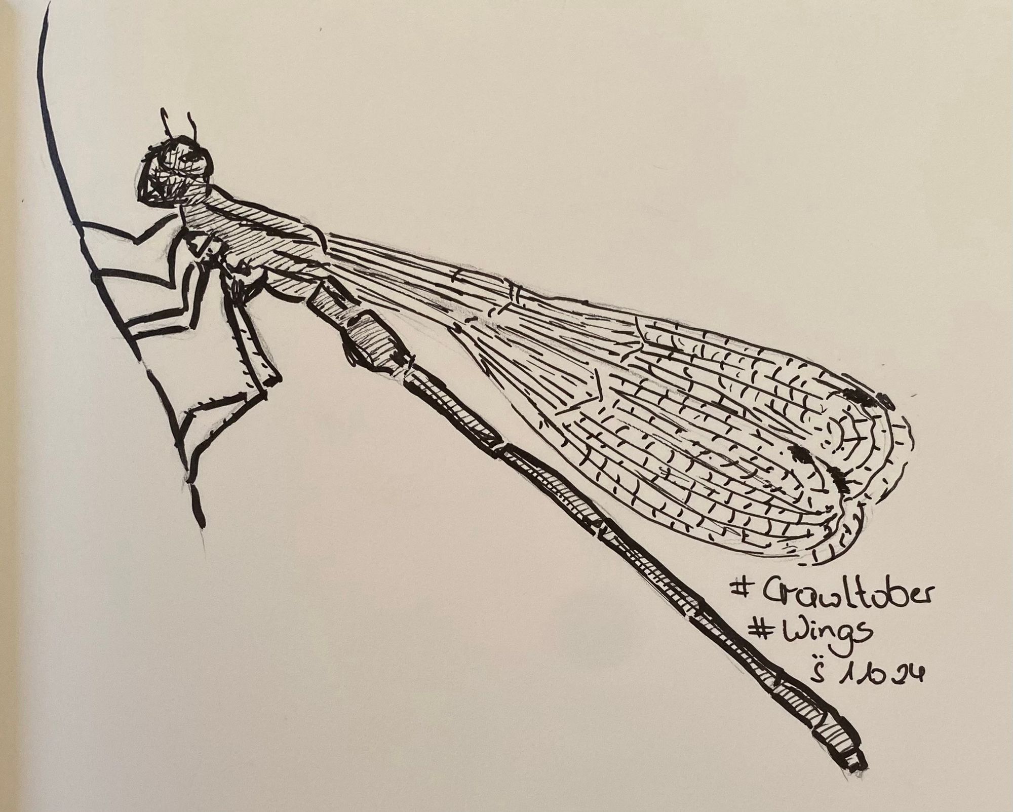 A black ink illustration of a dragonfly, featuring intricate details of its wings and body. The drawing is set against a light background, accompanied by the hashtags #Crawltober and #Wings, dated 1/10/24.